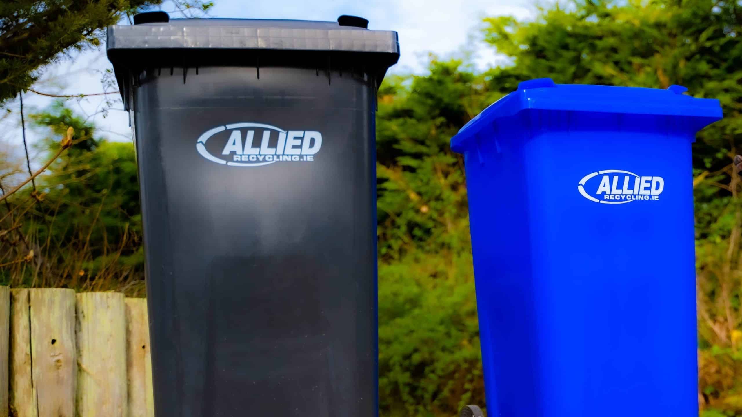 Black and Blue Bins